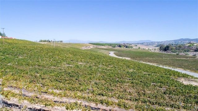 view of yard featuring a mountain view and a rural view