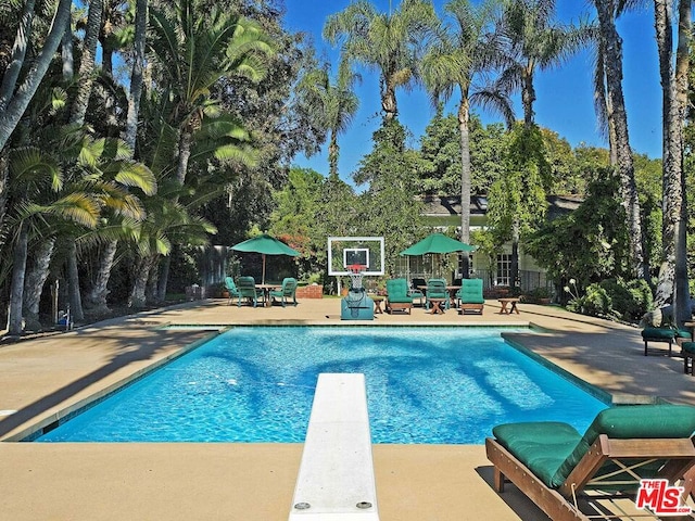 view of swimming pool with a patio and a diving board