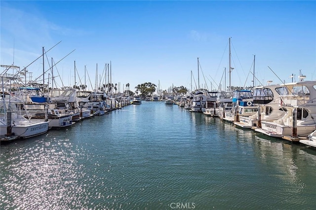 dock area with a water view