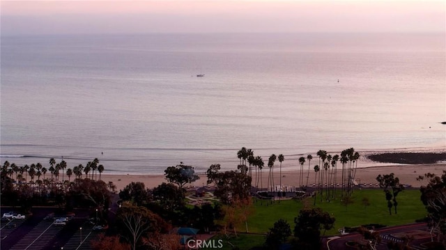 property view of water with a view of the beach