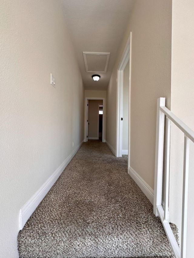 hallway featuring carpet flooring