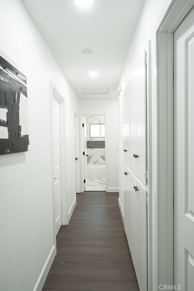 hallway with dark wood-type flooring