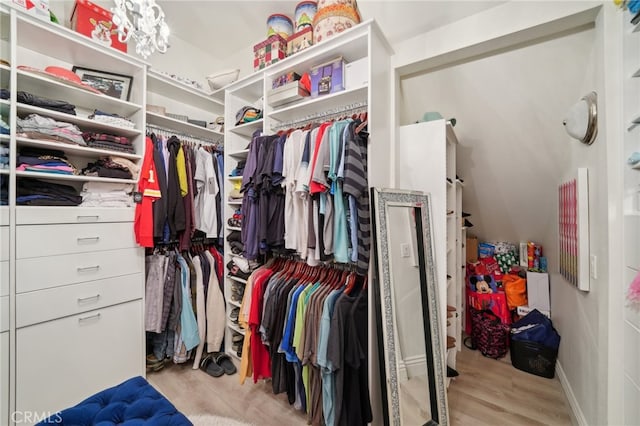 spacious closet with light wood-type flooring