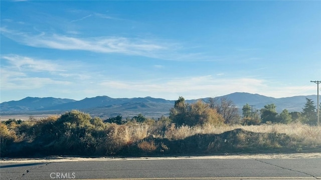 0 Mitchell Rd, Anza CA, 92539 land for sale