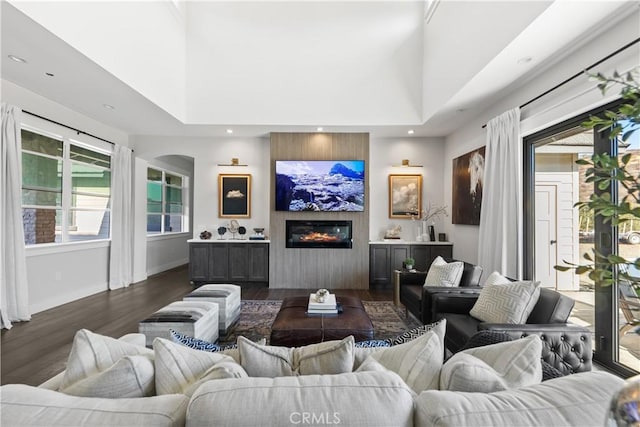 living room featuring dark wood-type flooring and a high ceiling