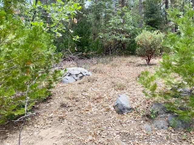 7 Laurel Trl, Pine Cove CA, 92549 land for sale