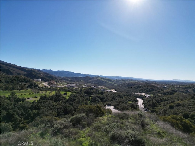 27802 Modjeska Grade Rd, Trabuco Canyon, CA 92676 - photo 6