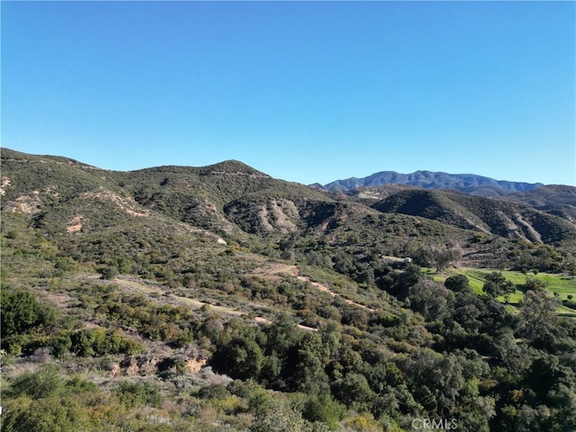 27802 Modjeska Grade Rd, Trabuco Canyon, CA 92676 - photo 4