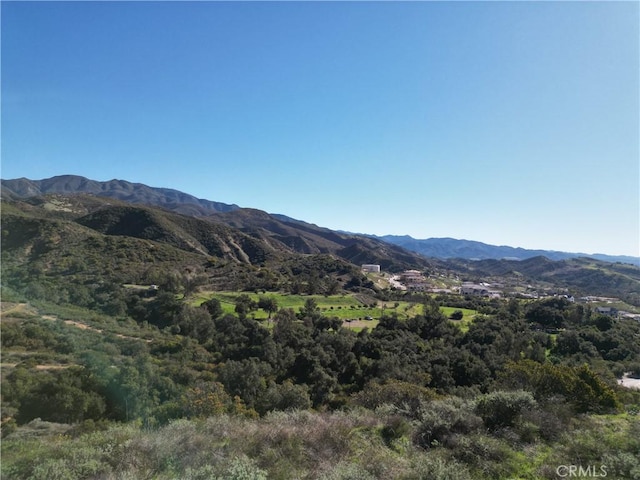 27802 Modjeska Grade Rd, Trabuco Canyon, CA 92676 - photo 7