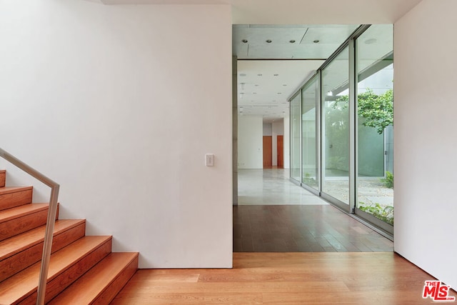 stairs featuring hardwood / wood-style floors, plenty of natural light, and floor to ceiling windows