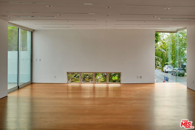 empty room featuring floor to ceiling windows, a healthy amount of sunlight, and light hardwood / wood-style flooring