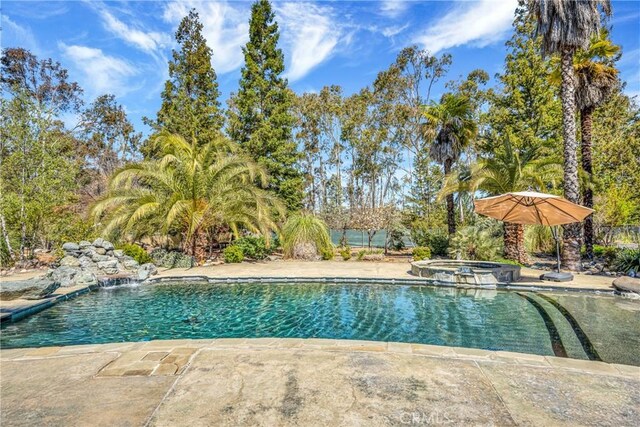 view of swimming pool with an in ground hot tub