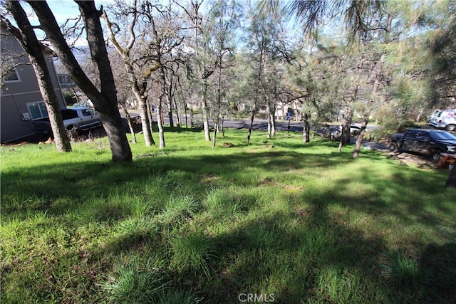 Listing photo 3 for 19160 Deer Hill Rd, Hidden Valley Lake CA 95467