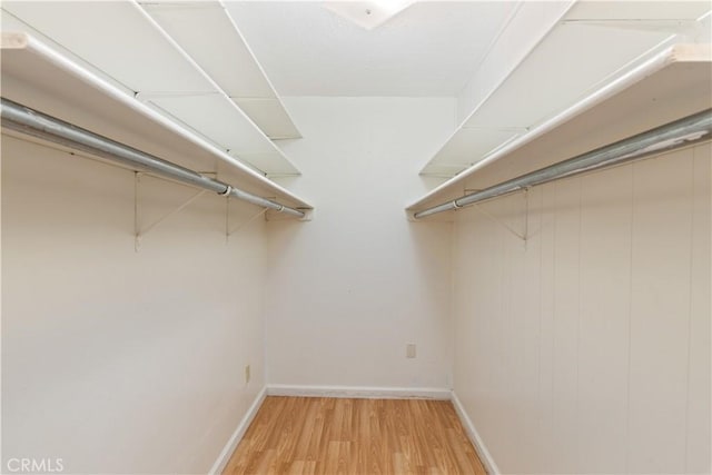 walk in closet with light wood-type flooring