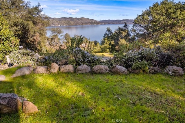 view of water feature with a mountain view