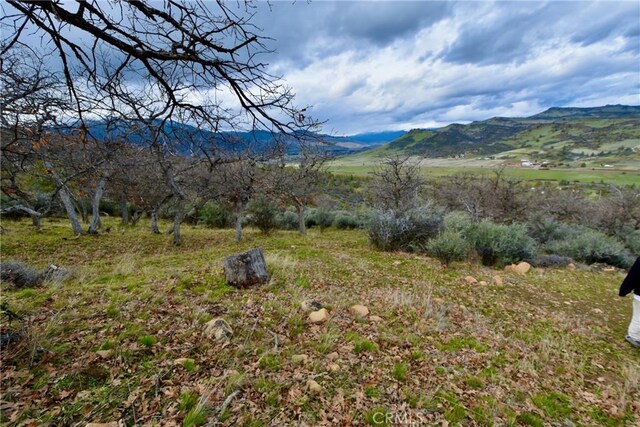 0 Rooster, Hornbrook, CA 96044