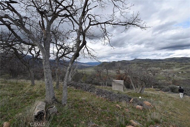 0 Rooster, Hornbrook, CA 96044