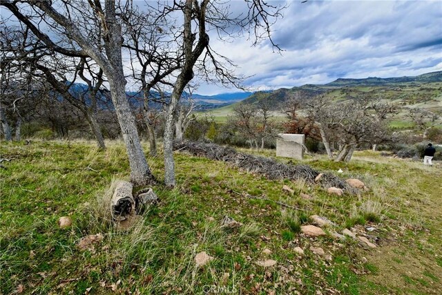 0 Rooster, Hornbrook, CA 96044