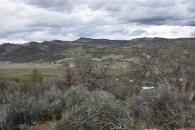 0 Rooster, Hornbrook, CA 96044