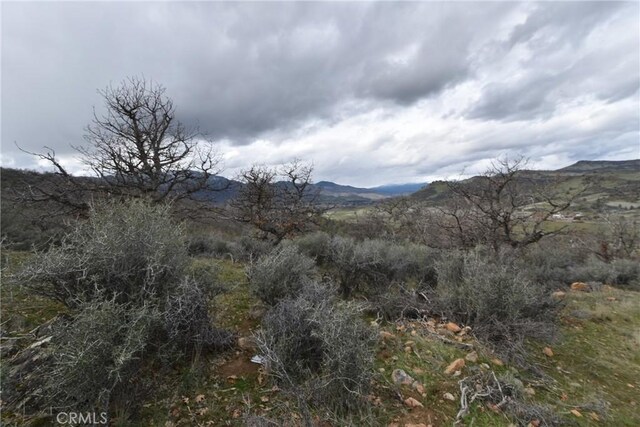 0 Rooster, Hornbrook, CA 96044