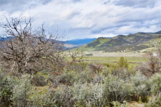 0 Rooster, Hornbrook, CA 96044