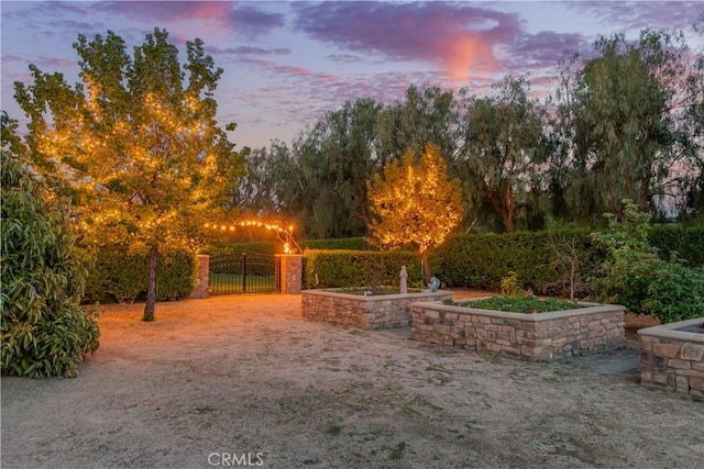 view of yard at dusk