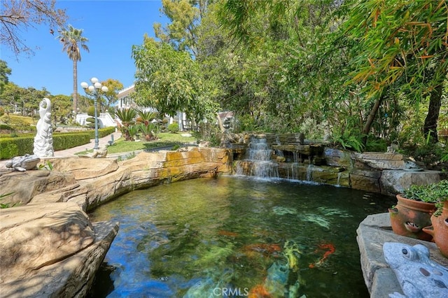 surrounding community featuring a garden pond