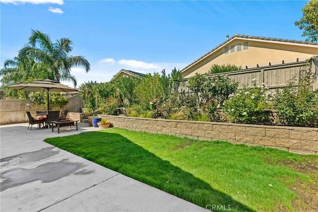 view of yard with a fenced backyard and a patio