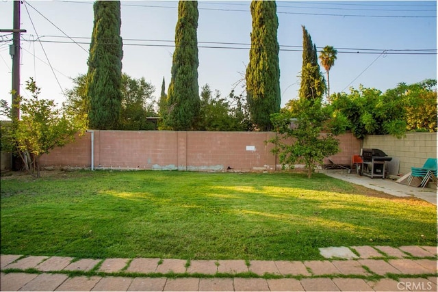 view of yard with a fenced backyard