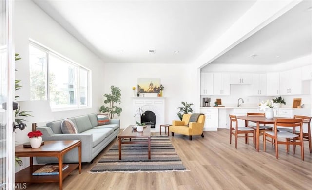 living area featuring a fireplace and light wood-style flooring