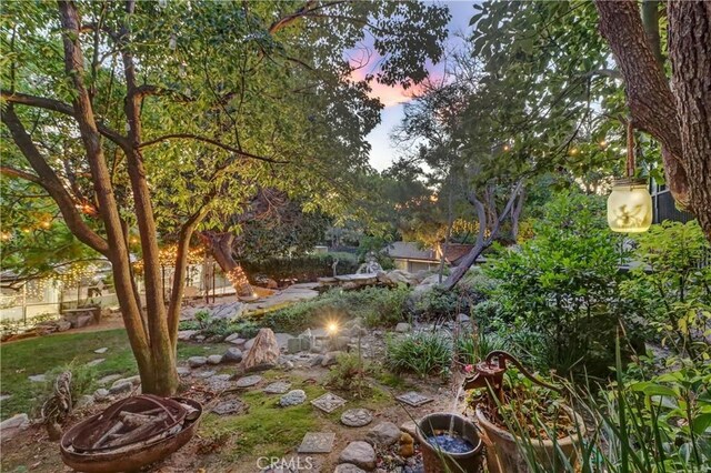 view of yard at dusk