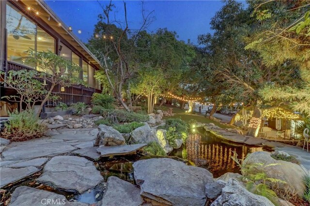 view of yard featuring a patio