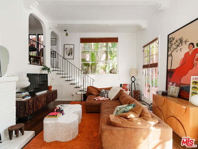 living room featuring wood-type flooring and a healthy amount of sunlight