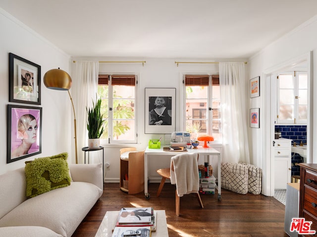 interior space featuring crown molding and dark hardwood / wood-style flooring