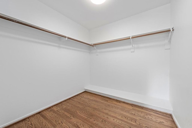 spacious closet featuring light hardwood / wood-style floors