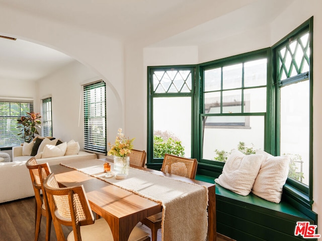 dining room with dark hardwood / wood-style flooring