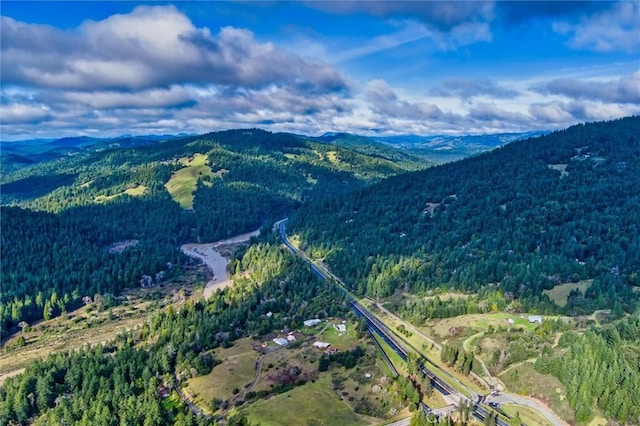 bird's eye view with a mountain view