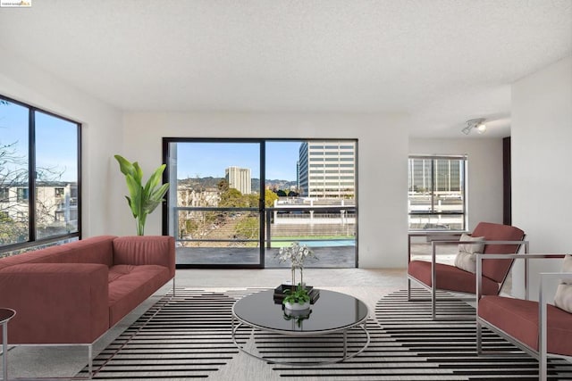 carpeted living room with plenty of natural light and a textured ceiling