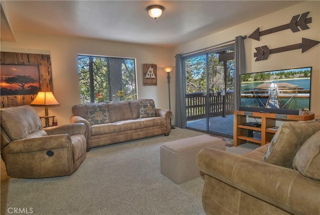 living room featuring carpet floors