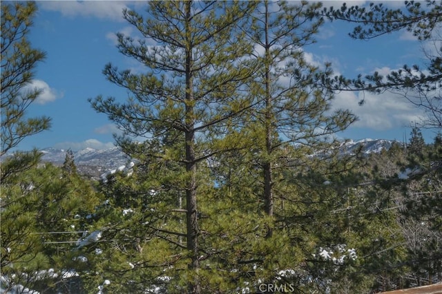 view of landscape