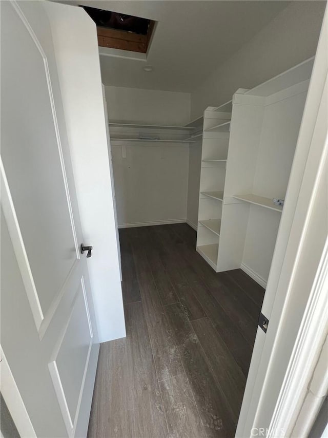 spacious closet featuring dark hardwood / wood-style floors