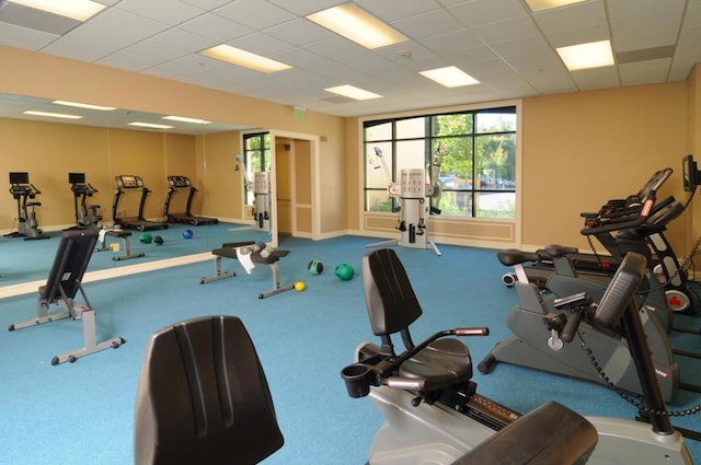 workout area with a paneled ceiling and carpet flooring