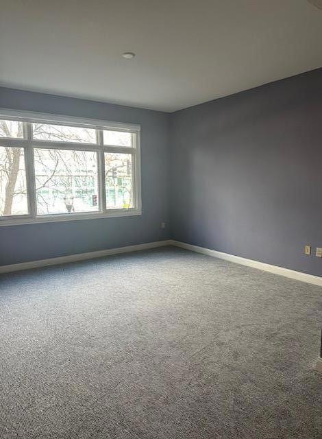 unfurnished room featuring carpet