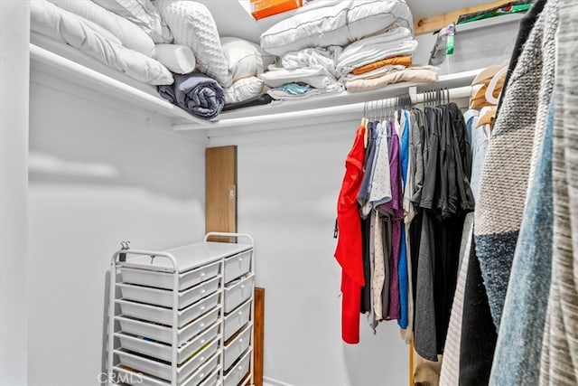 view of spacious closet