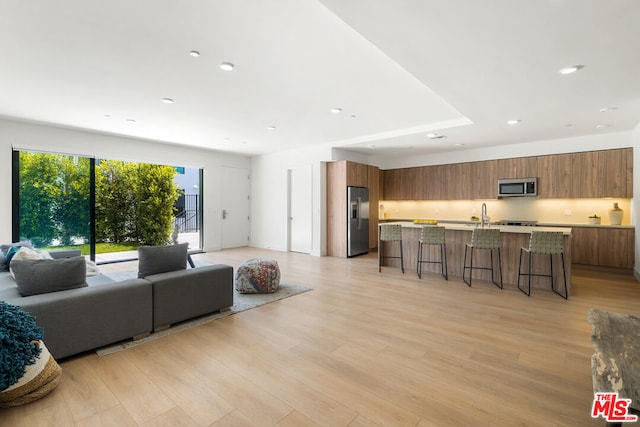 living room with light hardwood / wood-style floors