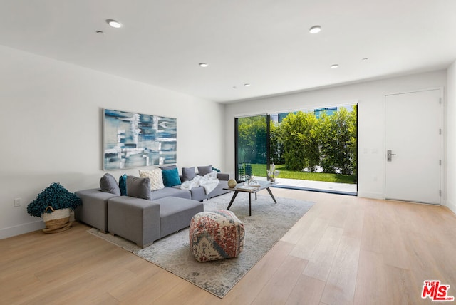 living room with light hardwood / wood-style floors