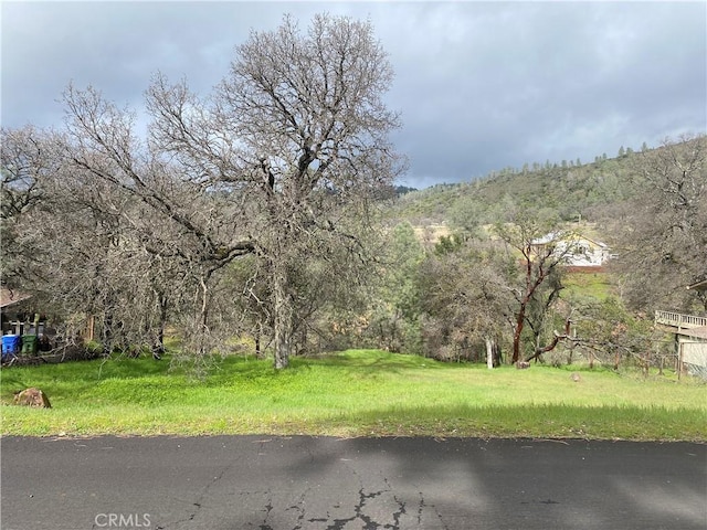 Listing photo 3 for 16153 Conestoga Rd, Hidden Valley Lake CA 95467