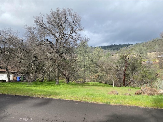 16153 Conestoga Rd, Hidden Valley Lake, CA 95467