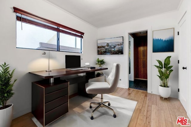 home office featuring light hardwood / wood-style floors and crown molding