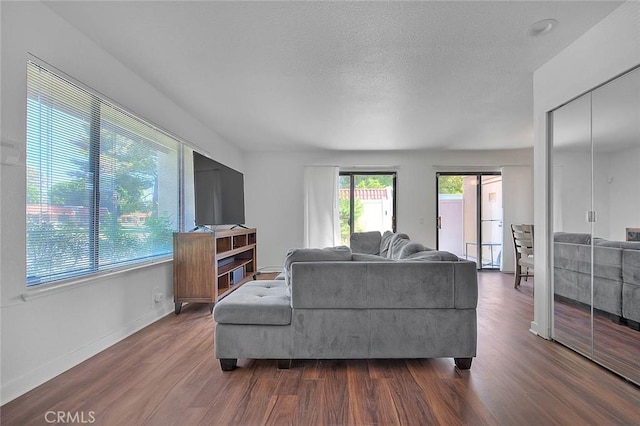 living room featuring baseboards and dark wood-type flooring